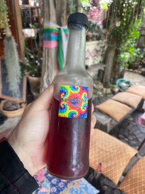 local kombucha  at Art in Chai in Pai