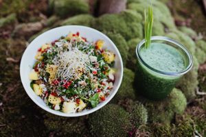 Our Seasonal Special at Daluma in Berlin