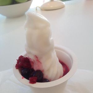 Vegan at Tamara - Ben Yehuda St in Tel Aviv