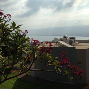 View at Mitzpe Alummot in Kibbutz Alummot