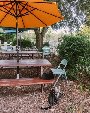  at Community Loaves in Jacksonville