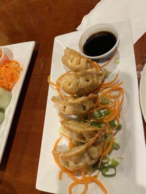 Vegetable Goyza  at SabaiThai in Winchester