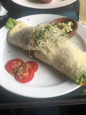 Vegan Rollos de huevo my favorite!! at Samsara in Antigua