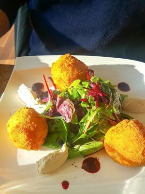 Risotto balls of the delicious special cheezy menue  at The Vegan Eagle in Hamburg