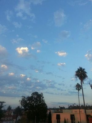 Sky view at Trilogy Sanctuary in La Jolla