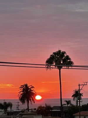 😻  at Trilogy Sanctuary in La Jolla