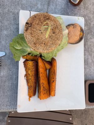 Cheeseburger   at Trilogy Sanctuary in La Jolla