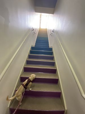   at Trilogy Sanctuary in La Jolla