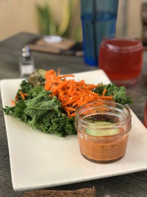 Spring rolls with some amazing sauce! at Trilogy Sanctuary in La Jolla