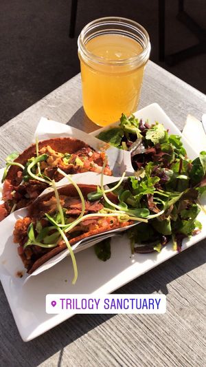 Quinoa tacos!  at Trilogy Sanctuary in La Jolla