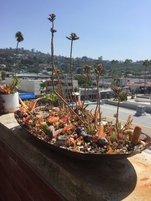 View from restaurant  at Trilogy Sanctuary in La Jolla