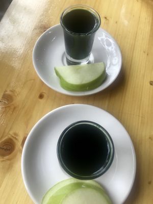 chlorophyll shots at Kreation Organic Kafe in Venice