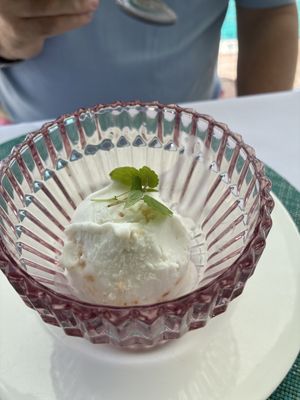 Coconut sorbet - normally not a fan of sorbet but this was FRESHLY made and you can definitely tell.  Absolutely delicious   at Swifty's at the Colony Palm Beach in Palm Beach