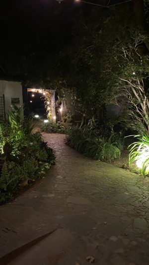 Entrance path  at Naturellement Garden Cafe in Viluppuram