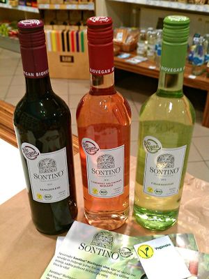 Organic vegan wine at Norma in Maribor