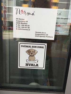 Dogs allowed  at Norma in Maribor