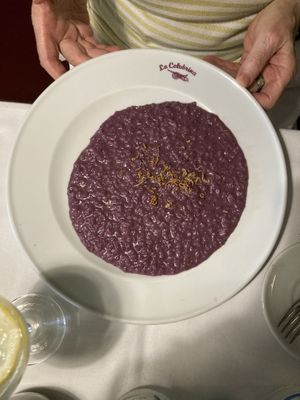 “Risotto al mirtillo” (delicious, and my omnivorous nan loved it)   at La Colubrina in Milan