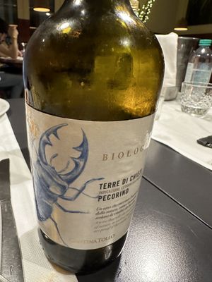   at La Colubrina in Milan