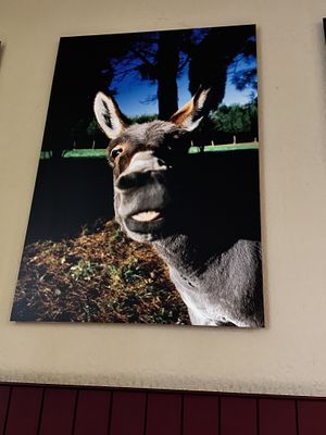 Hilarious pic above our table    at La Colubrina in Milan