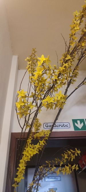  at Zum Spätzle in Hamburg