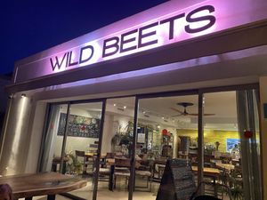 Buiten at Wild Beets in Ibiza