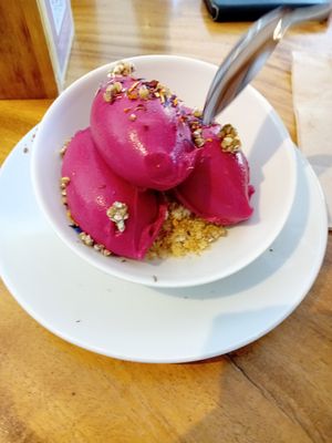  at Wild Beets in Ibiza