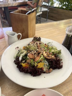   at Wild Beets in Ibiza