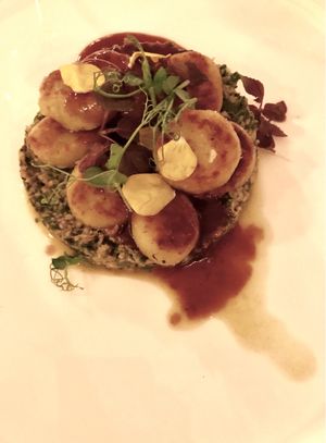 Gnocchi with herb oil over mushrooms with red wine reduction  at Marktkuche in Zurich