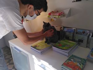 Little kitty handing out pamphlets (ok maybe not) at La Source Doree in Saint-pierre-la-palud