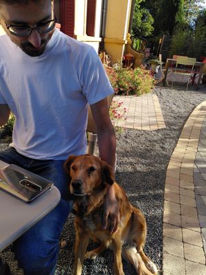 Gaia saying good morning! at La Source Doree in Saint-pierre-la-palud