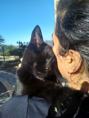 Some of the cuddles I enjoyed. at La Source Doree in Saint-pierre-la-palud