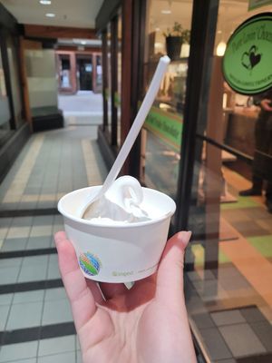 Vegan Soft Serve at Pure Lovin' Chocolate in Victoria
