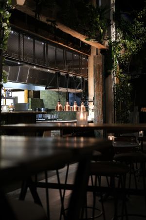  at Mr Watson in Amsterdam