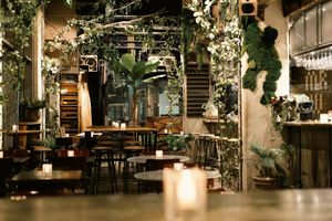  at Mr Watson in Amsterdam