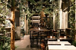  at Mr Watson in Amsterdam