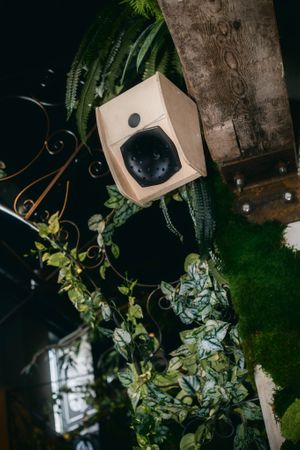  at Mr Watson in Amsterdam