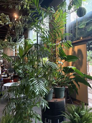   at Mr Watson in Amsterdam