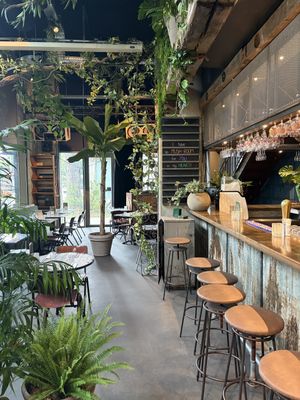   at Mr Watson in Amsterdam