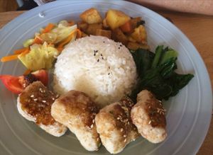 chicken and rice  at Kuan-Yin Vegetarian in Brisbane