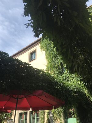 Super schöner Innenhof zum Draußen sitzen  at brennNessel in Dresden