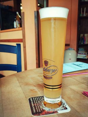 Apple beer at brennNessel in Dresden