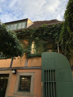   at brennNessel in Dresden