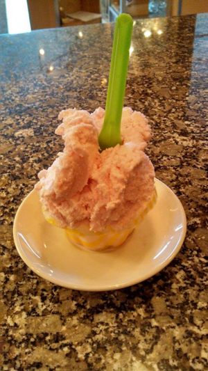 Rhubarb sorbetto at Spin Cafe in Heber City