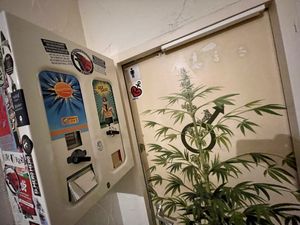 inside at Hemperium in Ulm