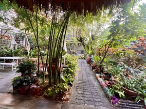 Garden   at Baan Boon Homestay  in Krung Thep Maha Nakhon