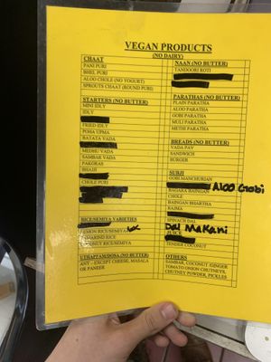 Ask for vegan menu  at Taj Chaat House in Irving