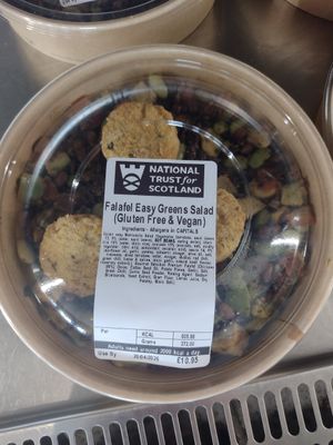 Falafel Easy Greens Salad (Gluten Fre & Vegan) at Viaduct View Cafe in Glenfinnan