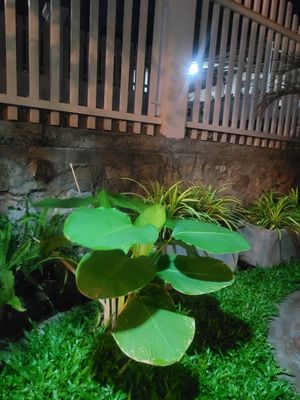  at Reunion Cafe Luang Prabang in Luang Prabang