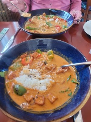 Excellent tofu konkonatsu and red curries on our visit at Rasa Restaurant in Lichfield in Lichfield