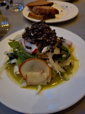 Fennel, lentil, and fermented apple salad at Cotell Cologne in Cologne